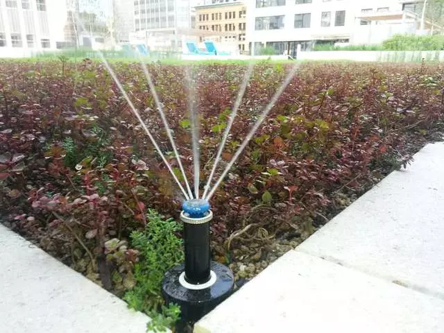 Aqua Engineering